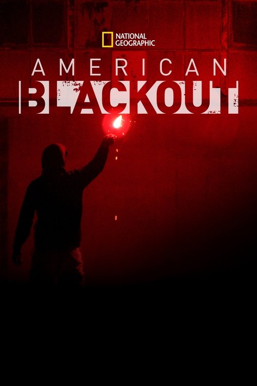 American Blackout 2013 jpg